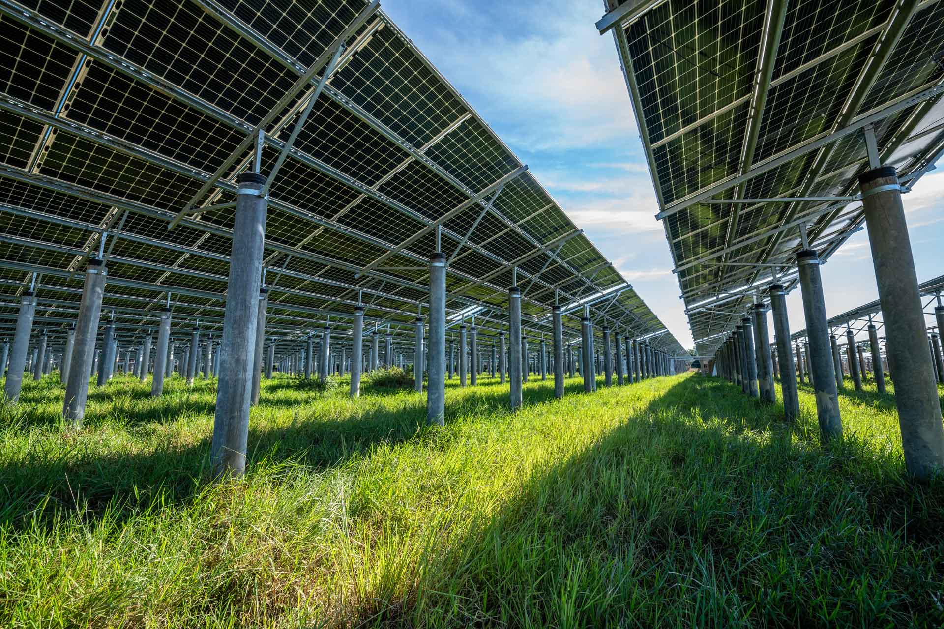 Mercato fotovoltaico 2026: andamento e scelte strategiche