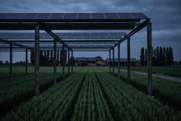 Fotovoltaico su terreno agricolo: cosa puoi fare oggi in Lombardia dopo la Consulta